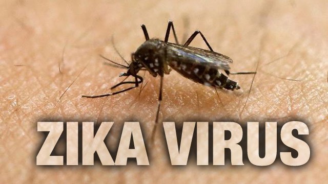 Zika Virus outbreak hits Indian