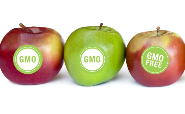 GMO apple