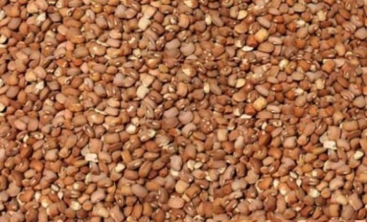 Common beans in Nigeria