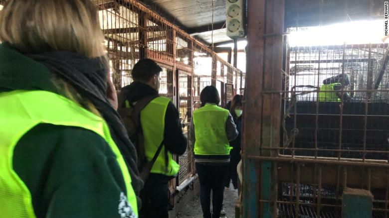 South Korea closes largest dog meat slaughterhouse