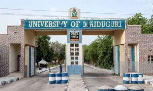 University of Maiduguri (UNIMAID), main gate