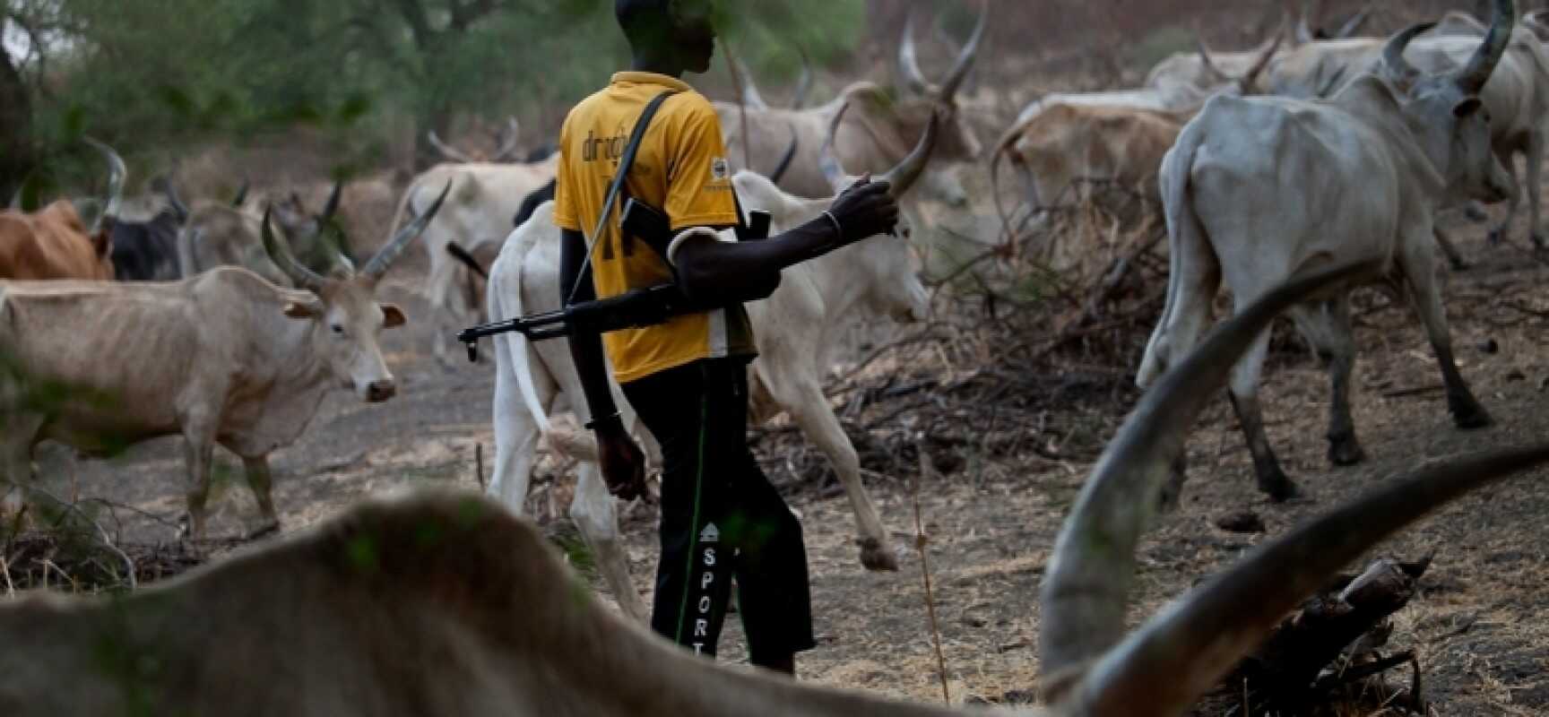 plateau-community-raises-alarm-over-renewed-herdsmen-attacks,-lament-killing-of-15-people